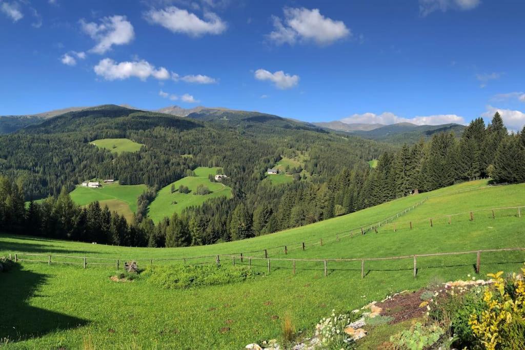 St Wolfgang-Kienberg - Ruhe Und Entspannung Mit Bester Aussicht Villa Obdach Exterior photo